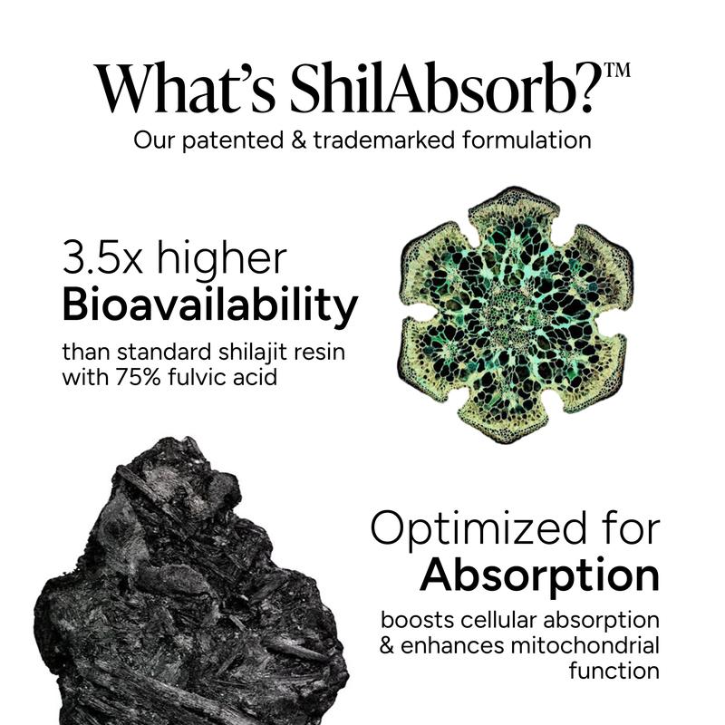 4000 mg Pure Himalayan Shilajit | No Added Sugar | KSM-66 Ashwagandha, Tongkat Ali, Gokshura & Black Musli | Vegan, Non-GMO, Individually Wrapped | 60 Gummies | Lab Tested for Purity & 3.5X Absorption - Image 7